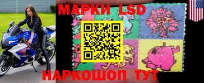 СК Жуковский