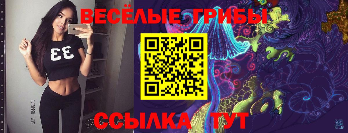 Галлюциногенные грибы Cubensis Москва