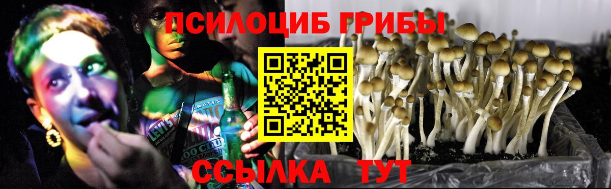 Галлюциногенные грибы MAGIC MUSHROOMS  Псилоцибиновые грибы Psilocybine cubensis  Москва  Вход с VPN 